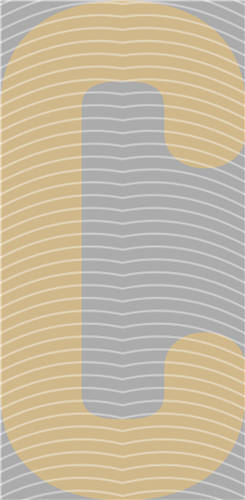 NBA and Team-QD 2192